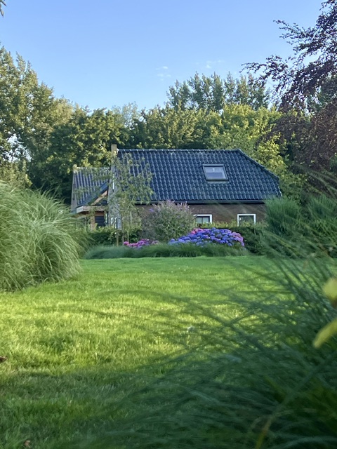 De tuin met hortensia's